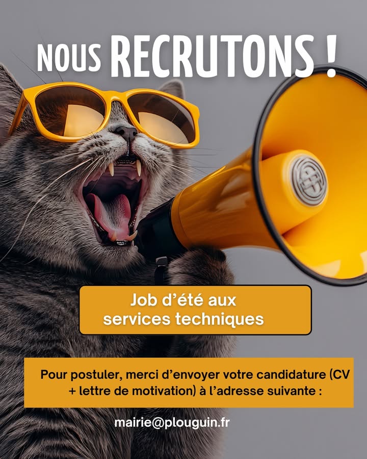 La mairie de Plouguin recrute po
