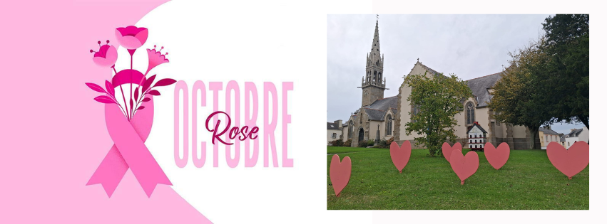 Plouguin a changé sa photo de c