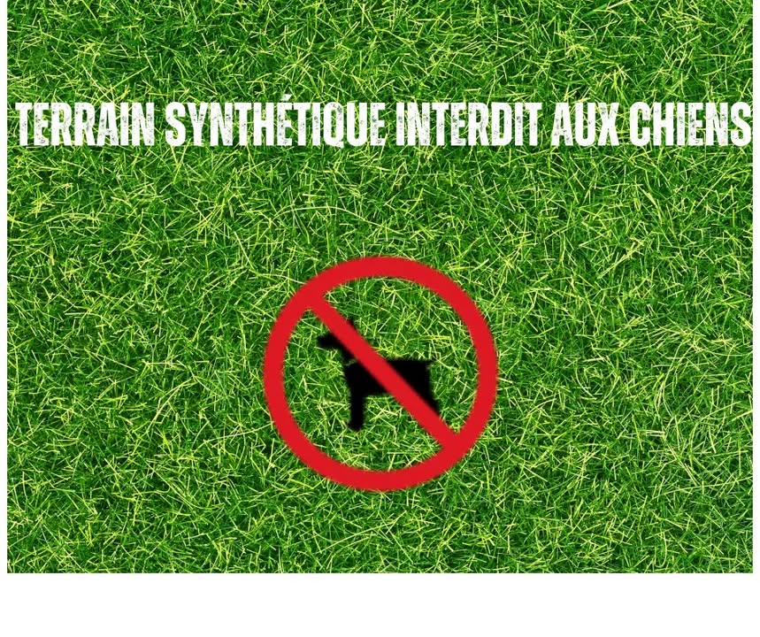 🚧 RAPPEL IMPORTANT – CHANTI