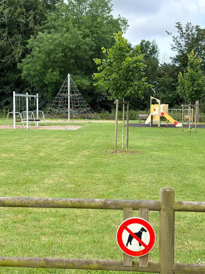 🚨 Aire de jeux : les règles 